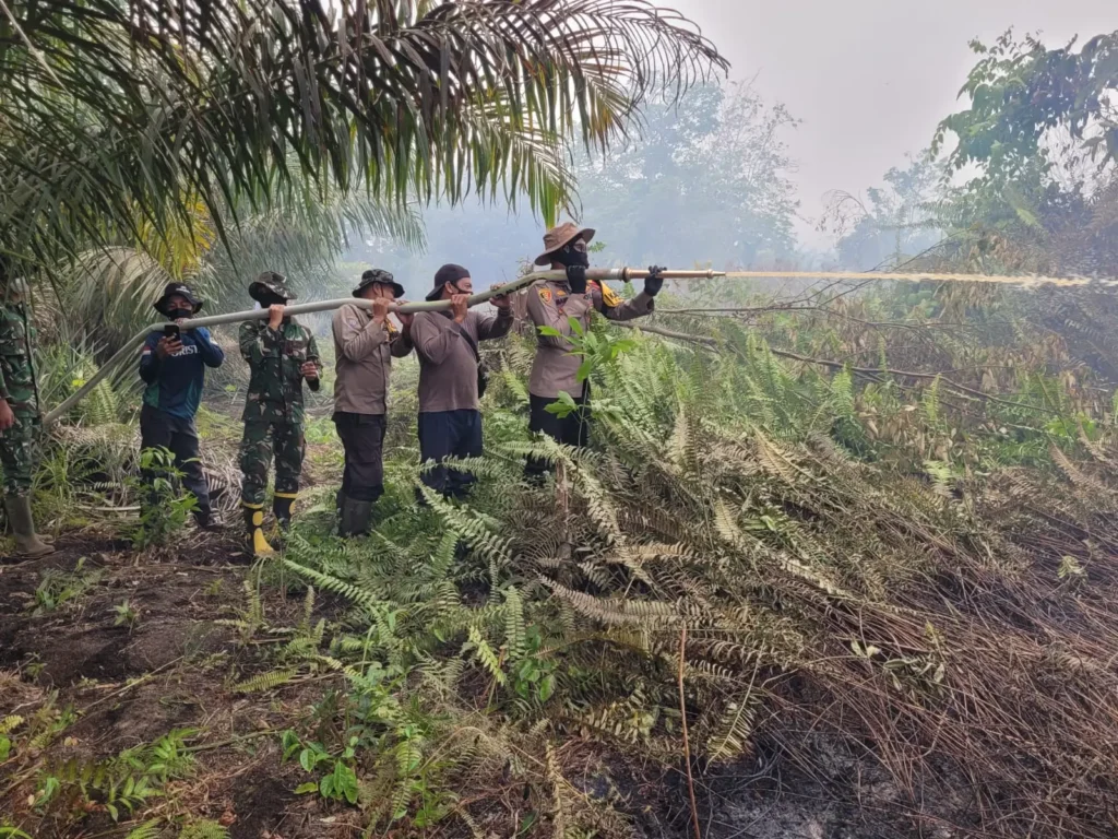 Tim gabungan memadamkan karhutla di lahan gambut Desa Padu Banjar, Kecamatan Simpang Hilir. (Res-KKU)