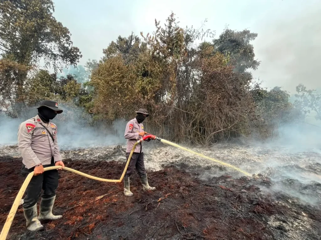 Tim gabungan memadamkan karhutla yang membakar lebih dari 20 hektare lahan di Simpang Hilir, Kayong Utara. (Res-KKU)