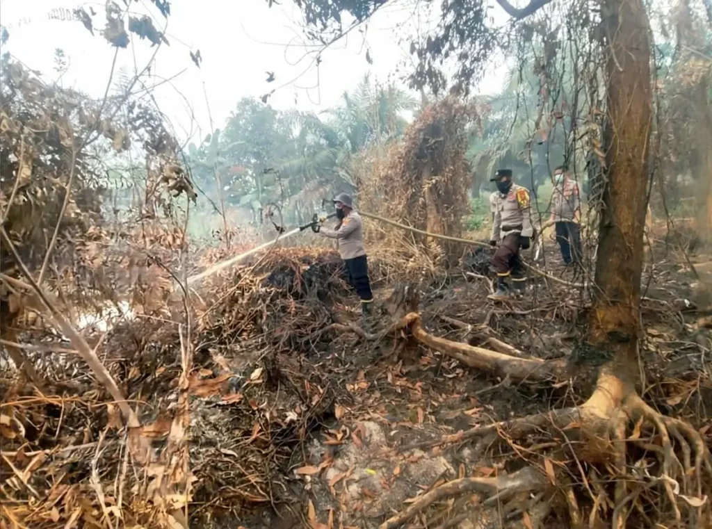 Tim gabungan memadamkan karhutla di Jalan Senen, Singkawang Utara, Kalimantan Barat. (Res-SKW)