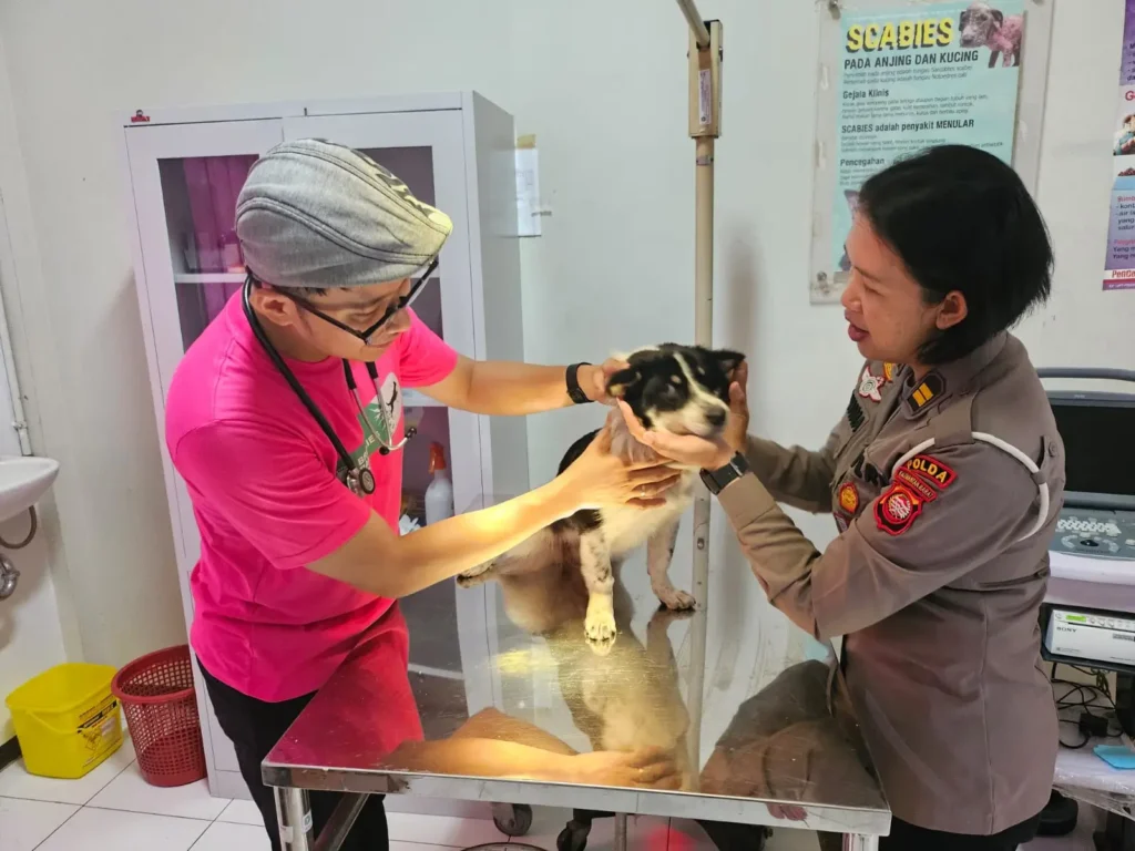 Klinik Hewan Pemprov Kalbar menyediakan layanan rawat inap untuk anjing dan kucing serta memperpanjang jam pelayanan. (Foto: polise.kalbarprov)