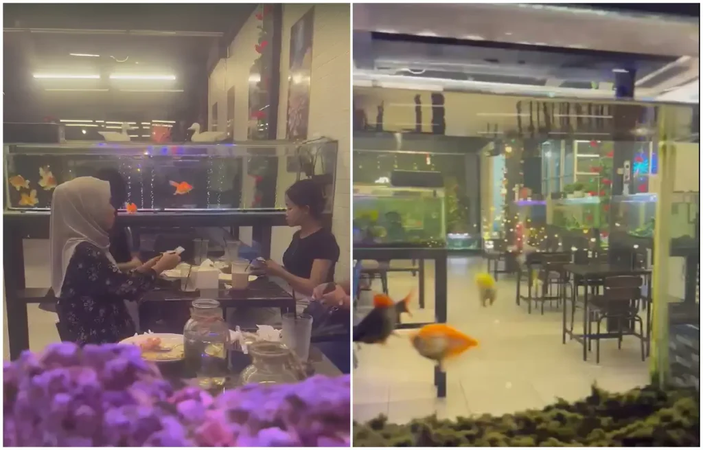 Akuarium berisi ikan hias di setiap meja Aqua Garden Cafe, tempat nongkrong unik di Jalan Ya’ M Sabran, Pontianak.