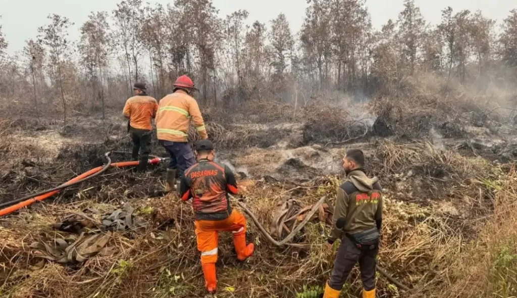 Gubernur Kalimantan Barat Ria Norsan mengimbau masyarakat tetap waspada terhadap kebakaran hutan dan lahan meski titik panas tercatat nihil.