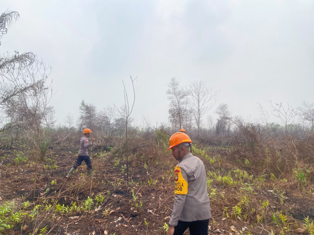 Satbrimob Polda Kalbar memantau dan menyisir lahan bekas karhutla di Desa Limbung, Kubu Raya, untuk mencari sisa bara api. (Foto: Polda Kalbar)
