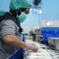Ilustrasi - Program Makan Bergizi Gratis di Kalimantan Barat dengan dukungan anggaran Rp16,8 miliar per hari. (Foto: BGN)