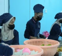 Distribusi makanan dalam Program Makan Bergizi Gratis (MBG) kepada peserta didik.