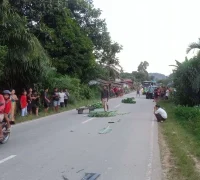 Polisi melakukan olah TKP kecelakaan truk yang menewaskan bocah 8 tahun di Tayan Hulu, Sanggau.