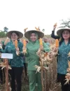 Donata Dirasig saat menghadiri panen raya jagung Program PKK Bengkayang di Kecamatan Sanggau Ledo.