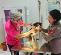 Klinik Hewan Pemprov Kalbar menyediakan layanan rawat inap untuk anjing dan kucing serta memperpanjang jam pelayanan. (Foto: polise.kalbarprov)