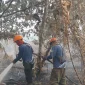 Petugas gabungan memadamkan karhutla di Desa Pasir, Kabupaten Mempawah, di tengah medan terjal dan asap tebal.