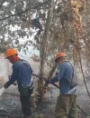 Petugas gabungan memadamkan karhutla di Desa Pasir, Kabupaten Mempawah, di tengah medan terjal dan asap tebal.