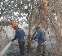 Petugas gabungan memadamkan karhutla di Desa Pasir, Kabupaten Mempawah, di tengah medan terjal dan asap tebal.