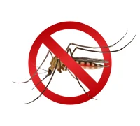 Ilustrasi - ASEAN Dengue Day 2026 dengan tema pencegahan demam berdarah di kawasan Asia Tenggara.