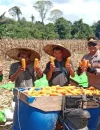 Kapolsek Noyan bersama petani saat panen jagung hibrida di wilayah perbatasan Kecamatan Noyan, Kabupaten Sanggau.