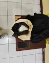 926458 (1) Petugas Ditresnarkoba Polda Sumut menunjukkan barang bukti sabu seberat 1 kilogram hasil penangkapan kurir di Deli Serdang. (Mediahub.polri.go.id)