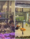 Akuarium berisi ikan hias di setiap meja Aqua Garden Cafe, tempat nongkrong unik di Jalan Ya’ M Sabran, Pontianak.