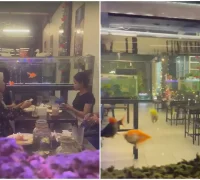 Akuarium berisi ikan hias di setiap meja Aqua Garden Cafe, tempat nongkrong unik di Jalan Ya’ M Sabran, Pontianak.