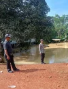 Banjir merendam rumah warga di Toba Sanggau akibat luapan Sungai Bawang.