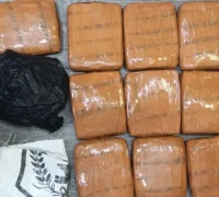 Barang bukti ganja seberat 10 kilogram hasil penangkapan di Grogol Jakarta Barat.