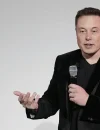 Elon Musk dalam acara teknologi saat membahas pengembangan kecerdasan buatan.