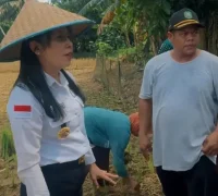 Tjhai Chui Mie, hari tani nasional Wali Kota Singkawang Tjhai Chui Mie berdialog dengan Petani Harum Manis pada peringatan Hari Tani Nasional 2025. (instagram.com/tjhaichuimie)