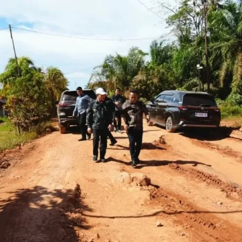 Gubernur Ria Norsan meninjau kondisi jalan Pesaguan Kendawangan di Ketapang.
