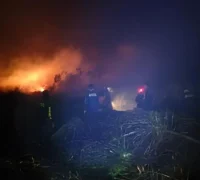 Kebakaran lahan gambut di Anjongan Mempawah mendekati ruko di pinggir jalan, Kamis (5/3/2026).