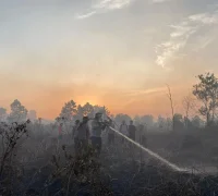Personel gabungan memadamkan kebakaran hutan dan lahan di Kabupaten Kubu Raya di tengah kabut asap pekat.