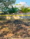 Satreskrim Polres Kubu Raya memasang police line di lokasi karhutla di Desa Kampung Arang.