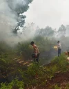 Petugas gabungan memadamkan karhutla yang nyaris merambat ke permukiman di Komplek Fajar Asri 6, Kubu Raya.