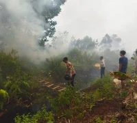 Petugas gabungan memadamkan karhutla yang nyaris merambat ke permukiman di Komplek Fajar Asri 6, Kubu Raya.