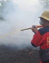 Polres Kubu Raya menangani enam laporan kebakaran hutan dan lahan dalam satu bulan.
