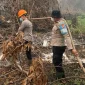 Petugas memadamkan dua titik karhutla di Desa Limbung Kubu Raya menggunakan cairan X-Fire. (Foto: Res-KKR)