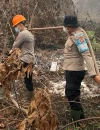 Petugas memadamkan dua titik karhutla di Desa Limbung Kubu Raya menggunakan cairan X-Fire. (Foto: Res-KKR)