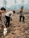 Polsek Sungai Kakap bersama petani menanam jagung di Kecamatan Sungai Kakap, Kubu Raya. (Foto: Res-KKR)