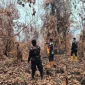 Polisi melakukan patroli dan memantau kawasan rawan karhutla di Kubu Raya. (Foto: Res-KKR)