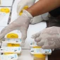 Personel Polres Kubu Raya menjalani tes urine dalam kegiatan Gaktibplin untuk mencegah penyalahgunaan narkoba. (Foto: Res-KKR)