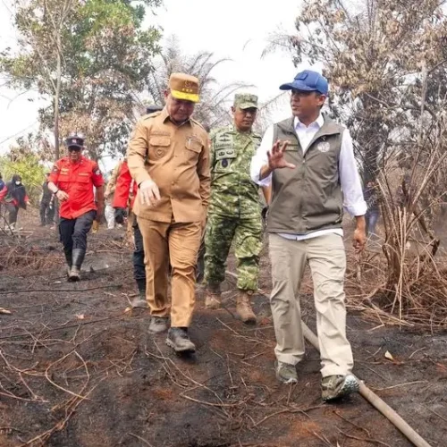 Menhut Raja Juli Antoni dan Gubernur Kalbar Ria Norsan meninjau lokasi karhutla di Desa Rasau Jaya 3, Kubu Raya.