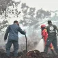 Status Tanggap Darurat Bencana Asap akibat karhutla di Kalbar di perpanjang hingga 20 September 2026.