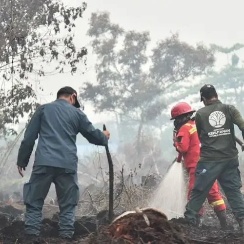 Status Tanggap Darurat Bencana Asap akibat karhutla di Kalbar di perpanjang hingga 20 September 2026.