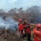 Titik panas atau hotspot terdeteksi di sejumlah wilayah Indonesia di tengah musim kemarau. (Kemenhut)