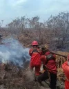 Titik panas atau hotspot terdeteksi di sejumlah wilayah Indonesia di tengah musim kemarau. (Kemenhut)