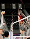 Wakil Indonesia Jakarta Bhayangkara Presisi akan bertanding di AVC 2026