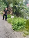 Bupati Kubu Raya Sujiwo meninjau badan Jalan Punggur-Parit Sarim yang amblas dan bergeser. (Foto: Prokopim KKR)