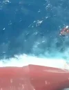 Tim SAR mencari korban kapal Virgo Transport 8 yang tenggelam di Laut Jawa. (Foto: Basarnas)