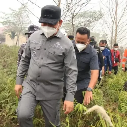 Gubernur Kalbar Ria Norsan meninjau penanganan karhutla di Desa Limbung, Kubu Raya.