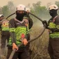 Petugas memadamkan kebakaran hutan dan lahan (karhutla) di Kalimantan Barat. (Foto: Hms-Polda Kalbar)
