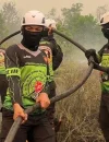 Petugas memadamkan kebakaran hutan dan lahan (karhutla) di Kalimantan Barat. (Foto: Hms-Polda Kalbar)
