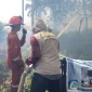 Petugas gabungan Polsek Pontianak Utara dan Damkar memadamkan kebakaran lahan di Jalan Flora, Kelurahan Batulayang, Pontianak Utara.