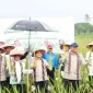 Wamentan RI Sudaryono dan Gubernur Kalbar Ria Norsan meninjau panen raya lidah buaya di Pontianak.