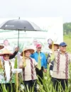 Wamentan RI Sudaryono dan Gubernur Kalbar Ria Norsan meninjau panen raya lidah buaya di Pontianak.